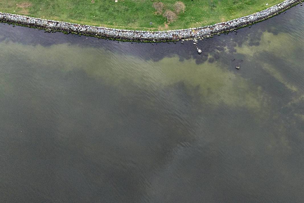 İstanbul'da buradan tutulan balıkları sakın yemeyin! Suda oksijen kalmadı, ağır metal ve pestisit var 8